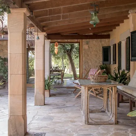 Tatil Evi Petit Torrent Fals *