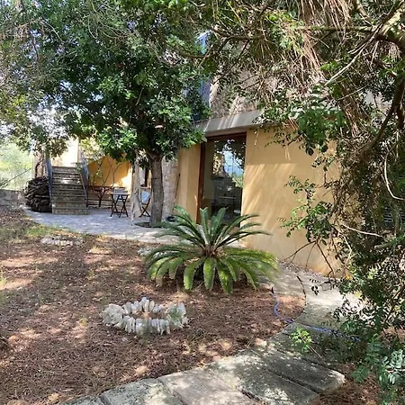 Petit Torrent Fals Tatil Evi