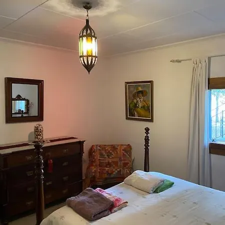 Tatil Evi Petit Torrent Fals *